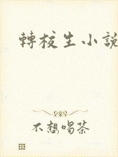 转校生小说封面