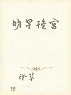 明星后宫封面