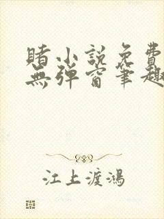 赌小说免费阅读无弹窗笔趣阁