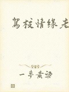 驾校情缘老赵