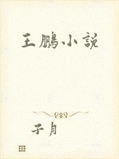 王鹏小说封面