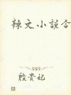 辣文小说合集