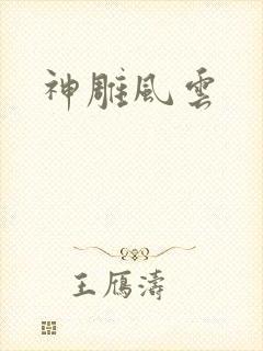 神雕风云封面