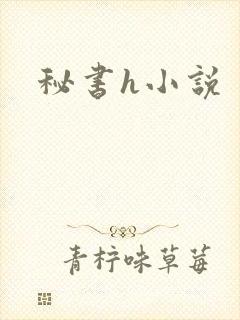 秘书h小说