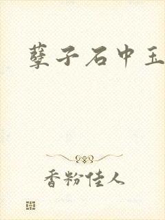 孽子石中玉