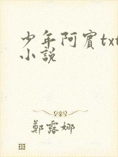 少年阿宾txt小说封面