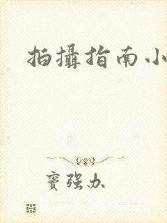 拍摄指南小说