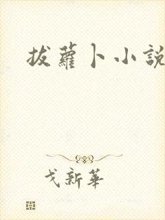 拔萝卜小说