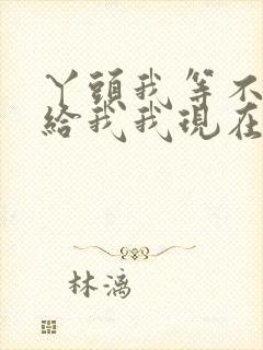 丫头我等不及了给我我现在就要封面