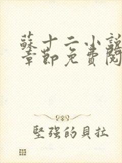 苏十二小说最新章节免费阅读全文封面