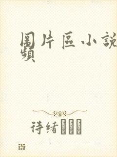 图片区小说区视频