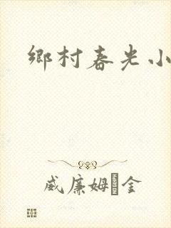 乡村春光小说封面