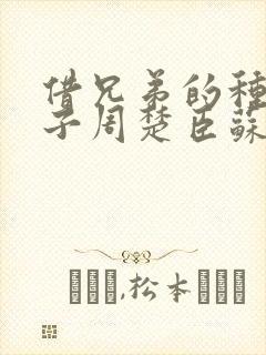 借兄弟的种生孩子周楚臣苏糖