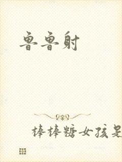 鲁鲁射封面