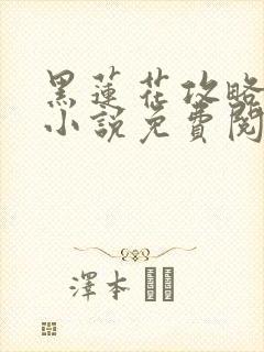 黑莲花攻略手册小说免费阅读全文