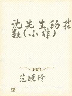 沈先生的花式调数(小非)