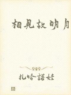 相见故明月