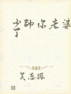 少帅你老婆又跑了封面