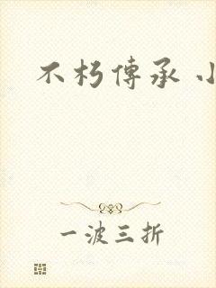不朽传承 小说
