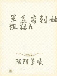 军区脔到她哭h粗话h封面