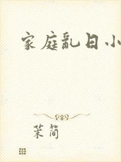 家庭乱日小说