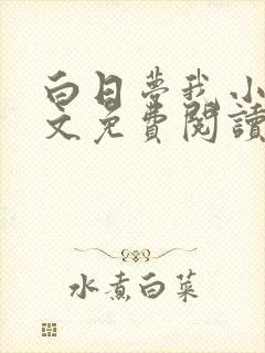 白日梦我小说全文免费阅读封面