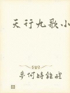 天行九歌小说