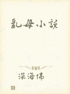 乱母小说