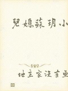 儿媳苏玥小说
