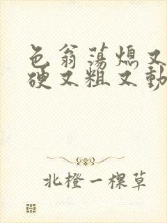 色翁荡熄又大又硬又粗又动态图封面