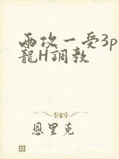两攻一受3p双龙H调教