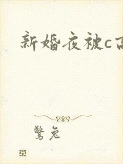 新婚夜被c高h