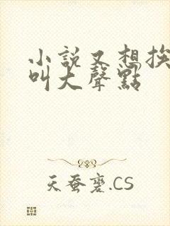 小说又想挨C了叫大声点