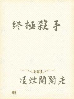 终极杀手