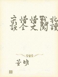 宋惜惜战北望小说全文阅读