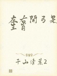 左右开弓是什么生肖封面