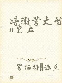 暗卫营大型hpn皇上