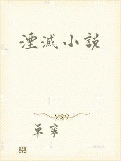 湮灭小说