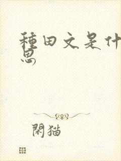 种田文是什么意思