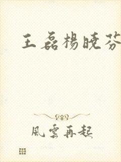 王磊杨晓芬封面