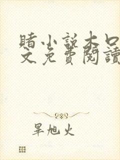 赌小说木口银全文免费阅读笔趣阁