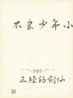 不良少年小说