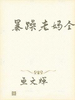 暴躁老妈全集封面