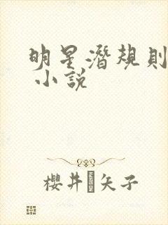 明星潜规则之皇 小说封面