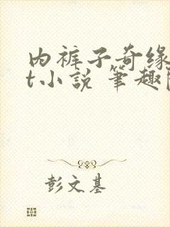 内裤子奇缘txt小说 笔趣阁封面