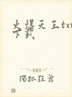 火爆天王txt下载