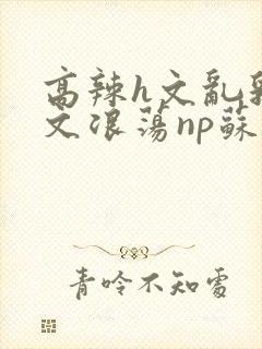 高辣h文乱乳h文浪荡np苏夏