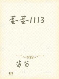 蛋蛋1113