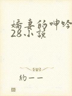娇妻的呻吟1—28小说