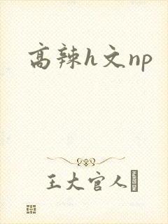 高辣h文np
